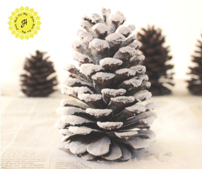 snow covered pine cone