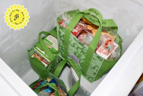 frozen foods in reusable bags