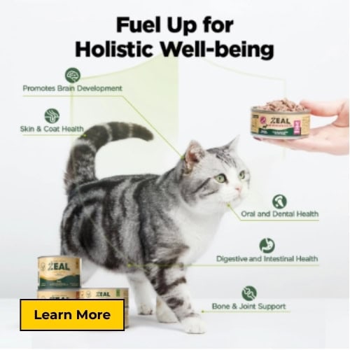 zeal pet food for cats