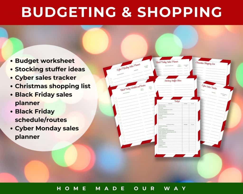 budget and shopping section of Christmas planner